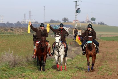 Carrera nula en la segunda jornada del Nacional de Galgos en Nava del Rey. / JACI NAVAS