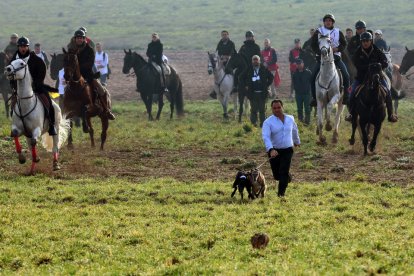Suelta de Leyenda y Yenka en la  segunda jornada del Nacional de Galgos en Nava del Rey. / JACI NAVAS