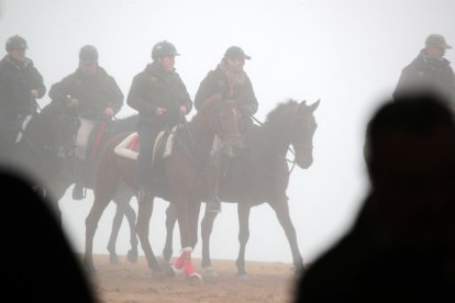 segunda jornada del Nacional de Galgos en Nava del Rey. / JACI NAVAS