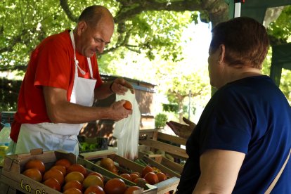 Feria del Tomate de Tudela de Duero.- PHOTOGENIC / SERGIO BORJA