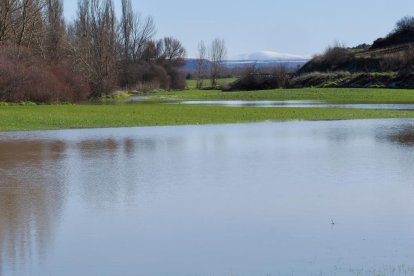 Desbordamiento del Duratón en la localidad vallisoletana de Rábano. PHOTOGENIC