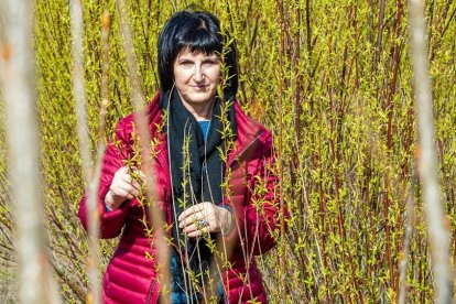 Centro de Desarrollo de Energías Renovables (Ceder), mejor proyecto de Soria.