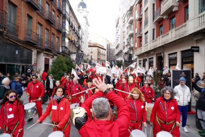 Manifestación Por el Respeto a Castilla y León en Valladolid. ICAL