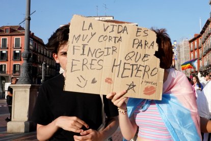 Manifestación en defensa de los derechos LGTBI+, convocada por Fundación Triángulo.-ICAL