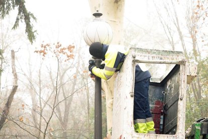 WhatsApp Image 2023-12-25 at 12.40.07 (1)