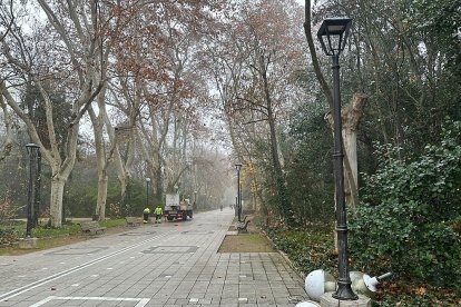 Instalación de luminarias LED en el Paseo del Príncipe del Campo Grande. E. M.