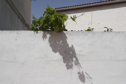 Calle Oriental. J. M. LOSTAU