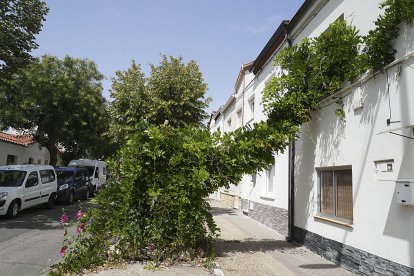 Calle de Los Enamorados. J. M. LOSTAU