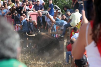 Celebración del Toro de la Vega en Tordesillas.- PHOTOGENIC