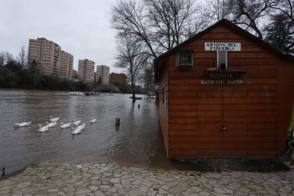 Subida del caudal del río Pisuerga a su paso por Valladolid. PHOTOGENIC