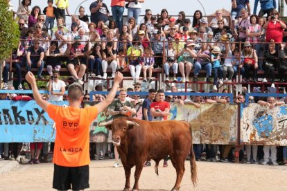 Segundo encierro de la Fiesta del Verdejo de La Seca.- J.M. LOSTAU