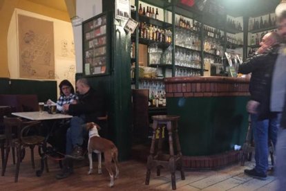Interior de El Penicilino. TRIPADVISOR