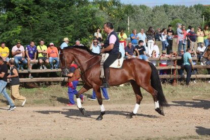 Celebración del Toro de la Vega en Tordesillas.- PHOTOGENIC