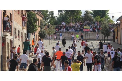 Celebración del Toro de la Vega en Tordesillas.- E. M.