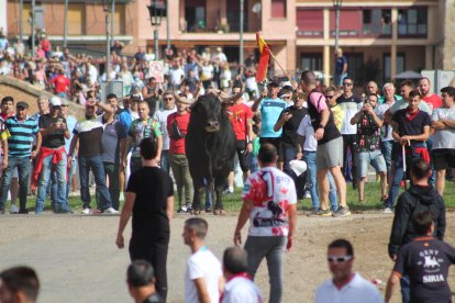 Celebración del Toro de la Vega en Tordesillas.- E. M.