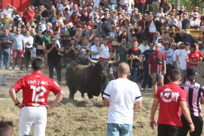 Celebración del Toro de la Vega en Tordesillas.- PHOTOGENIC