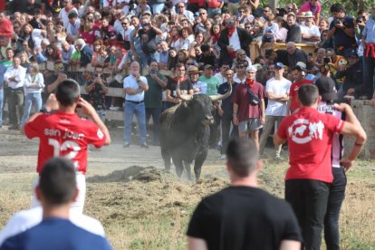 Celebración del Toro de la Vega en Tordesillas.- PHOTOGENIC