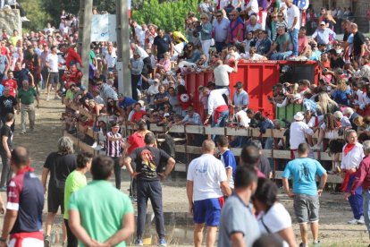 Celebración del Toro de la Vega en Tordesillas.- PHOTOGENIC