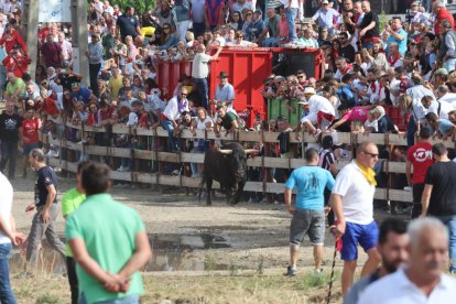 Celebración del Toro de la Vega en Tordesillas.- PHOTOGENIC