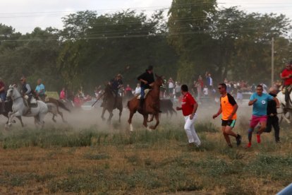 Celebración del Toro de la Vega en Tordesillas.- PHOTOGENIC