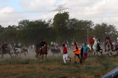 Celebración del Toro de la Vega en Tordesillas.- PHOTOGENIC