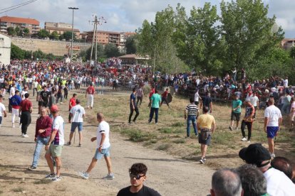 Celebración del Toro de la Vega en Tordesillas.- PHOTOGENIC