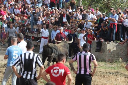 Celebración del Toro de la Vega en Tordesillas.- PHOTOGENIC