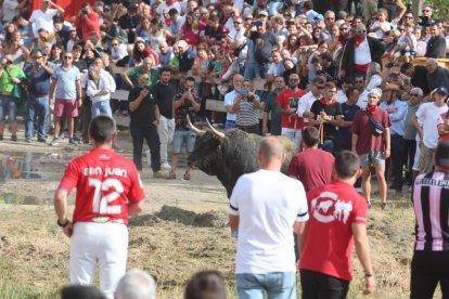 Celebración del Toro de la Vega en Tordesillas.- PHOTOGENIC