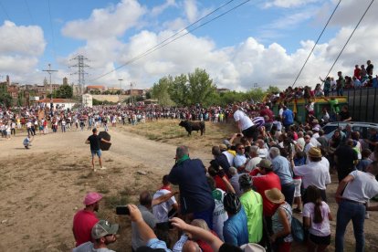 Celebración del Toro de la Vega en Tordesillas.- PHOTOGENIC