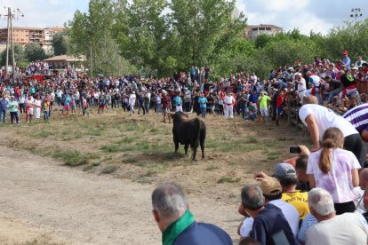 Celebración del Toro de la Vega en Tordesillas.- PHOTOGENIC