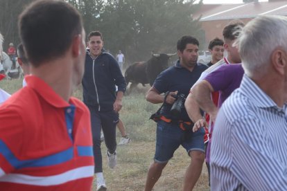 Celebración del Toro de la Vega en Tordesillas.- PHOTOGENIC