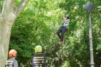 Final de la XX Edición del Campeonato Nacional de Trepa de Árboles.- J. M. LOSTAU