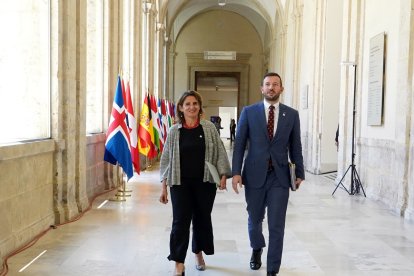 La vicepresidenta tercera y ministra para la Transición Ecológica y el Reto Demográfico,Teresa Ribera con el comisario de Medio Ambiente, Océanos y Pesca, Virginijus Sinkevicius. -ICAL