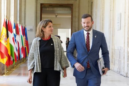 La vicepresidenta tercera y ministra para la Transición Ecológica y el Reto Demográfico,Teresa Ribera con el comisario de Medio Ambiente, Océanos y Pesca, Virginijus Sinkevicius. -ICAL