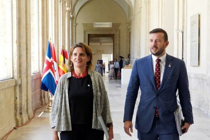 La vicepresidenta tercera y ministra para la Transición Ecológica y el Reto Demográfico,Teresa Ribera con el comisario de Medio Ambiente, Océanos y Pesca, Virginijus Sinkevicius. -ICAL