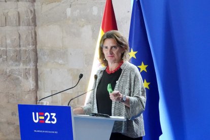 Lavicepresidenta tercera y ministra para la Transición Ecológica y el Reto Demográfico, Teresa Ribera, tras la reunión informal de ministros de Medio Ambiente y Energía en Valladolid. -ICAL