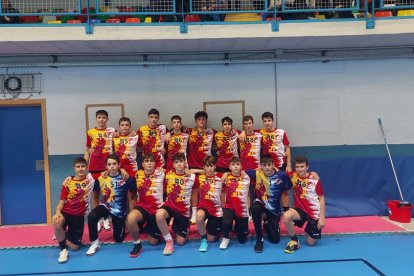 Preselección infantil masculina de Castilla y León. / EM