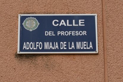 Calle Profesor Adolfo Miaja de la Muela, 2023.- J.M. LOSTAU
