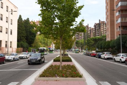 Calle Profesor Adolfo Miaja de la Muela, 2023.- J.M. LOSTAU