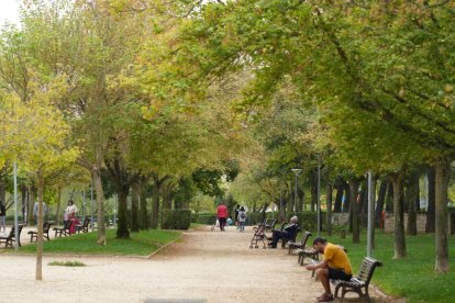 Calle Profesor Adolfo Miaja de la Muela, 2023.- J.M. LOSTAU