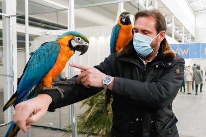 Óscar Puente en Fimascota.- J. M. LOSTAU