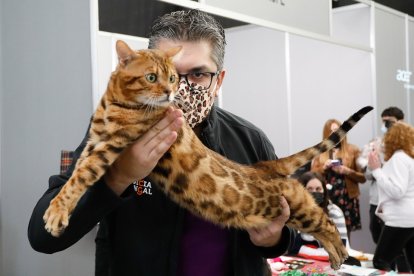 Fimascota en la Feria de Muestras de Valladolid.- J. M. LOSTAU