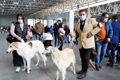 Fimascota en la Feria de Muestras de Valladolid.- J. M. LOSTAU