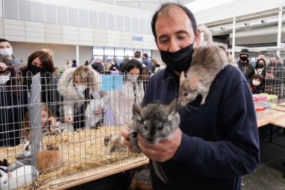 Fimascota en la Feria de Muestras de Valladolid.- J. M. LOSTAU