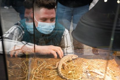 Fimascota en la Feria de Muestras de Valladolid.- J. M. LOSTAU