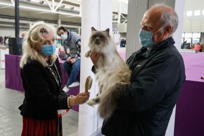 Fimascota en la Feria de Muestras de Valladolid.- J. M. LOSTAU