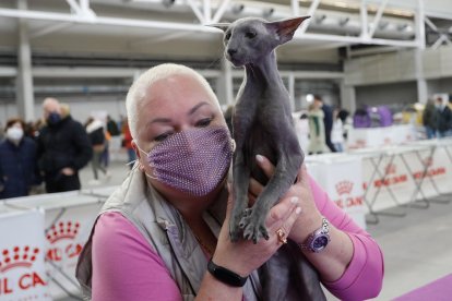 Fimascota en la Feria de Muestras de Valladolid.- J. M. LOSTAU