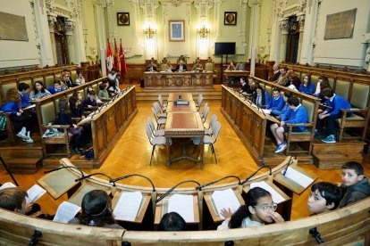 Pleno del Consejo Municipal de la Infancia. -ICAL