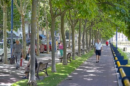 Paseo del Cauce