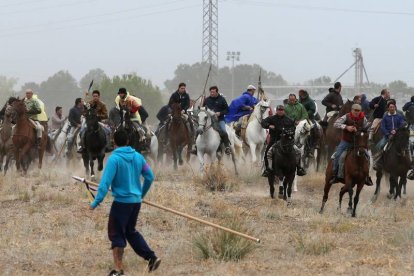 Toro de la Vega 2015 Rompesuelas por el campo de Tordesillas (Antonio Heredia)